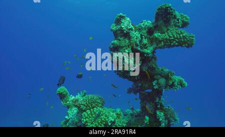 Silhouette de corail formation d'une forme bizarre inhabituelle sur les fonds marins, Mer Rouge, Safaga, Egypte Banque D'Images