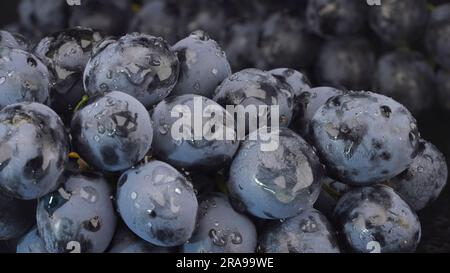 Bouquet de raisins mûrs juteux avec des gouttes d'eau, Clode up Banque D'Images