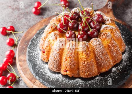 Gâteau à la vanille maison arrosé de sucre en poudre sur une planche en bois sur la table. Horizontale Banque D'Images