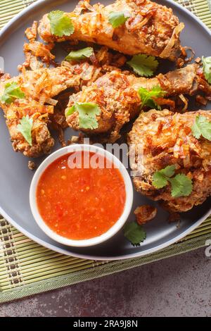 Le Hat Yai est un plat de poulet traditionnel originaire de Thaïlande, également connu sous le nom de poulet frit de Thaïlande du Sud sur une assiette sur la table. Verticale Banque D'Images