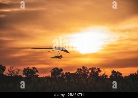 Silhouette du Hangglider au coucher du soleil. Suspendez les mouches du planeur au-dessus des arbres Banque D'Images