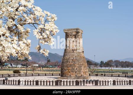 Observatoire ancien de Cheomseongdae au printemps à Gyeongju, Corée du Sud Banque D'Images