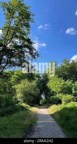 Sentier de randonnée dans la réserve naturelle d'Ohligser Heide à Solingen, Rhénanie-du-Nord-Westphalie, Allemagne Banque D'Images