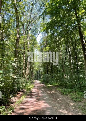 Sentier de randonnée dans la réserve naturelle d'Ohligser Heide à Solingen, Rhénanie-du-Nord-Westphalie, Allemagne Banque D'Images