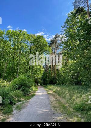 Sentier de randonnée dans la réserve naturelle d'Ohligser Heide à Solingen, Rhénanie-du-Nord-Westphalie, Allemagne Banque D'Images