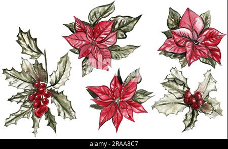 Ensemble de plantes de Noël et baies, houx . Illustration aquarelle. parfait pour les cartes de voeux, l'affiche, l'invitation, la décoration de fête, le tissu Banque D'Images