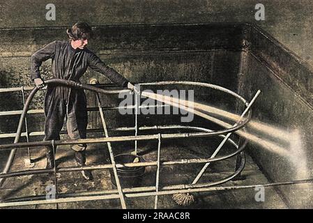 Les femmes au travail nettoient une tva dans l'une des brasseries de Burton-on-Trent pendant la première Guerre mondiale. Date: 1916 Banque D'Images