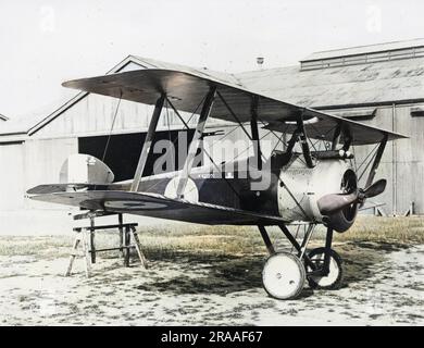 Un avion de chasse en biplan de F1 Camel de la British Sopawith pendant la première Guerre mondiale. Date: 1917-1918 Banque D'Images