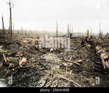 Les soldats britanniques creusent une tranchée de communication à travers ce qui était autrefois Delville Wood sur le front occidental pendant la première Guerre mondiale. Date: Vers 1916 Banque D'Images