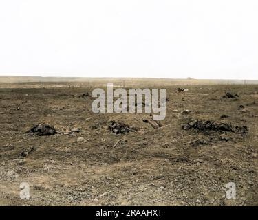 Vue du champ de bataille près de Guillemont sur le front occidental en France (somme) pendant la première Guerre mondiale. Date: Vers 1916 Banque D'Images