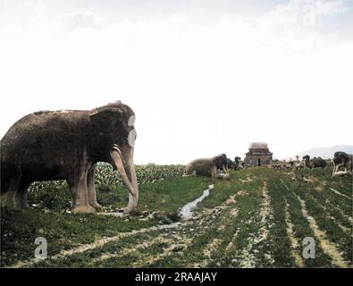 Statues sur la route des Tombeaux de Ming, Nanjing, Chine. Date: Vers 1890 Banque D'Images