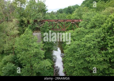 Pont ferroviaire désaffecté entouré d'un feuillage dense Banque D'Images