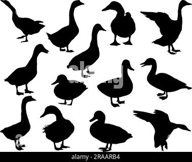 Ensemble de silhouette de canard Illustration de Vecteur