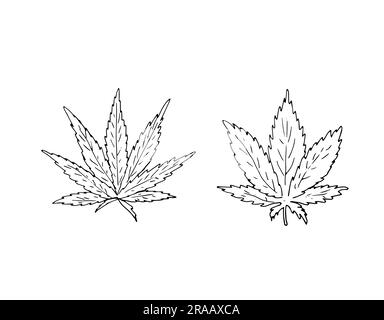 feuilles de cannabis dessinées à la main Illustration de Vecteur