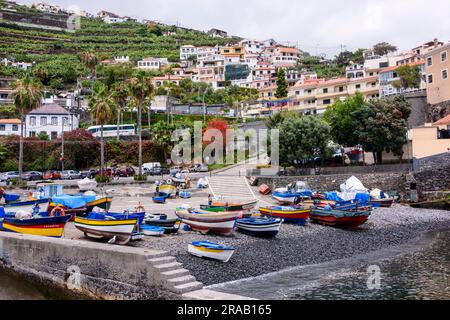 Bateaux de pêche et d'aviron colorés au port de Camera de Lobos, Madère Banque D'Images