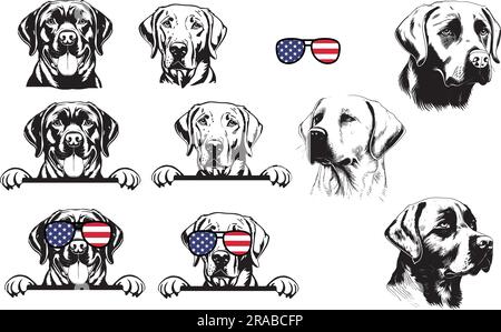 Jeu de peeking Golden Retriever. Joli portrait du Labrador Retriever Puppy Illustration de Vecteur