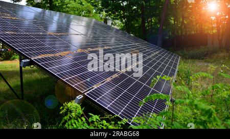 Panneaux photovoltaïques se tenant sur une surface pavée contre le fond des arbres et des buissons. Panneaux solaires avec une grande surface. Banque D'Images