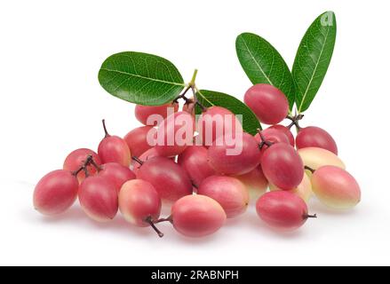 Fruits Carunda ou Karonda isolés sur fond blanc Banque D'Images