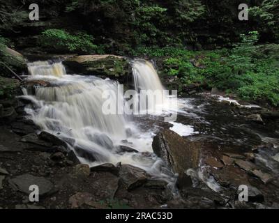 Cayuga Falls traverse le parc national Ricketts Glen à Benton, en Pennsylvanie. Banque D'Images