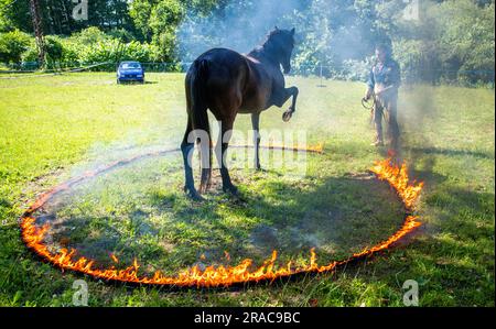 Neu Damerow, Allemagne. 27th juin 2023. Montrez le pilote Wolfgang Kring s'entraîne avec son cheval pour le spectacle Apache live en 30th. Sur la scène naturelle du Mecklembourg Lake District, la pièce en cours célèbre sa première le dernier week-end de juillet. Un total de six représentations avec environ 30 acteurs amateurs sont prévues sur un total de trois week-ends. L'histoire de fiction se trouve à l'époque du début de la guerre civile aux États-Unis, au milieu du 19th siècle. (À dpa: 'Wild West dans le Nord-est - une vie indienne pour le spectacle') Credit: Jens Büttner/dpa/Alay Live News Banque D'Images