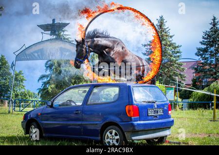 Neu Damerow, Allemagne. 27th juin 2023. Le cheval du pilote de spectacle Kring saute à travers un pneu en feu et au-dessus d'une voiture pendant l'entraînement pour ce qui est maintenant le spectacle Apache live 30th. Sur la scène naturelle du Mecklembourg Lake District, la pièce en cours célèbre sa première le dernier week-end de juillet. Un total de six représentations avec environ 30 acteurs amateurs sont prévues sur un total de trois week-ends. L'histoire de fiction se trouve à l'époque du début de la guerre civile aux États-Unis, au milieu du 19th siècle. (À dpa: 'Wild West dans le Nord-est - une vie indienne pour le crédit: dpa/Alay Live News Banque D'Images