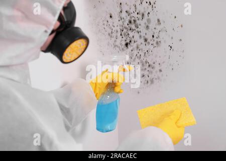 Femme en costume de protection et gants en caoutchouc utilisant un détachant de moule et un chiffon sur le mur Banque D'Images