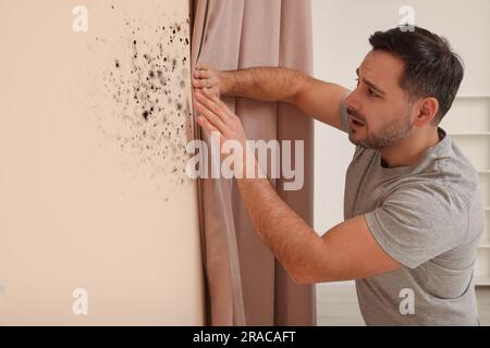 Homme regardant le mur touché par la moisissure dans la chambre Banque D'Images