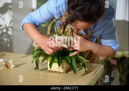 Fleuriste en gros plan créant un arrangement de fleurs avec des fleurs d'orchidées fraîches et des plantes pour un événement spécial de vie festive, en insérant des plantes dans la mousse trempée Banque D'Images