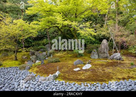 Jardin du temple de Hogon-in, jardin du paysage de la roar Lions, trois grandes pierres représentent le bouddha et les disciples principaux de remorquage, Arashiyama, Kyoto, Japon, 2023 Banque D'Images