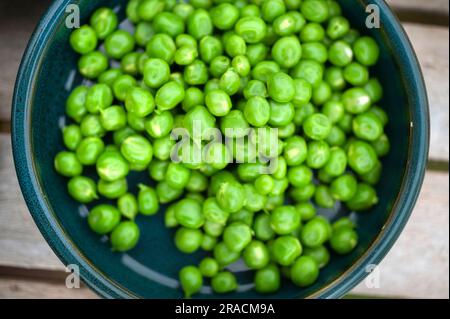 Petits pois frais dans un bol en céramique verte Banque D'Images