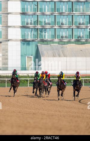 Chevaux en formation à la course hippique sur piste de terre Banque D'Images