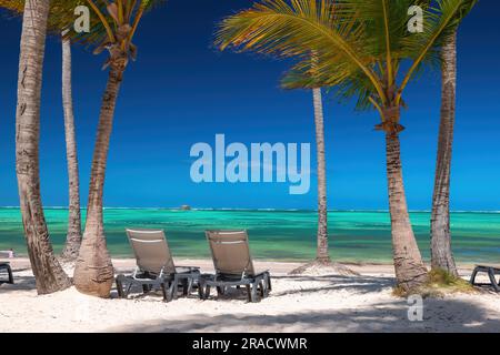 Plage exotique avec palmiers et transats sur la côte de la mer des Caraïbes, vacances tropicales d'été Banque D'Images