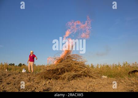 en automne, la femme au champ brûle de l'herbe sèche au coucher du soleil sur fond bleu ciel Banque D'Images