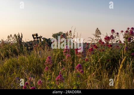 Shoreham-by-Sea, West Sussex, Angleterre, Royaume-Uni Banque D'Images