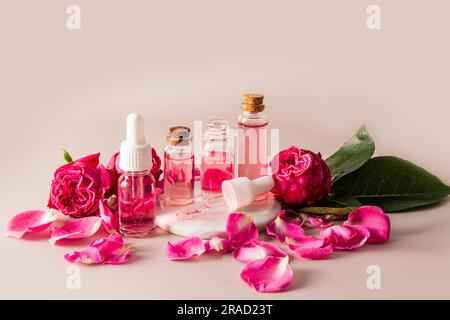 Un ensemble de cosmétiques à base d'huile de rose dans diverses bouteilles parmi les bourgeons de petites roses sur un fond beige. soins à domicile. Banque D'Images