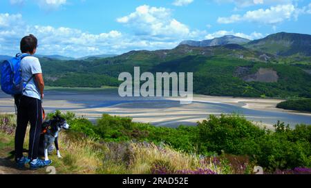 L'estuaire de Mawddach, parc national d'Eryri Banque D'Images