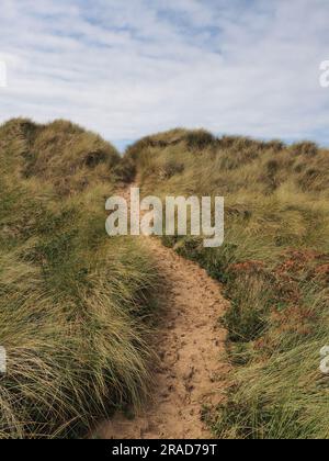 Chemin à travers les dunes de sable avec l'herbe de Maram, la péninsule de Gower, pays de Galles Banque D'Images