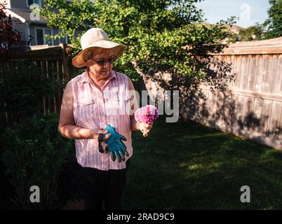 Femme plus âgée en chapeau regardant un bouquet de fleurs fraîchement coupées dans une cour. Banque D'Images