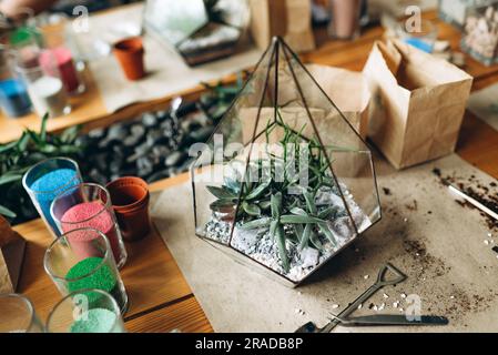 L'arrangement de fleuriste succulent des plantes naturelles dans le florarium de verre sur le décor de pierres en gros plan. création de composition d'art botanique avec des plantes de maison végétat Banque D'Images