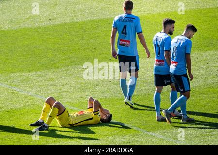 Davila de Wellington manque une chance de gagner tard – Wellington Phoenix contre Sydney en A-League au Wellington Regional Stadium le 21 décembre 2019 Banque D'Images