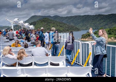 Vue imprenable sur Queen Charlotte Sound (Tōtaranu) de Wellington à Picton Cook Strait Ferry traversée de l'île du Nord à l'île du Sud, Nouvelle-Zélande Banque D'Images