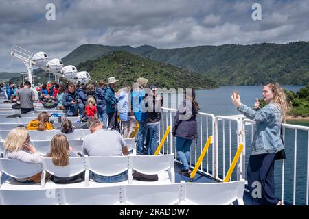 Vue imprenable sur Queen Charlotte Sound (Tōtaranu) de Wellington à Picton Cook Strait Ferry traversée de l'île du Nord à l'île du Sud, Nouvelle-Zélande Banque D'Images