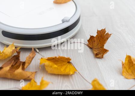séchez les feuilles d'automne et un robot-aspirateur Banque D'Images