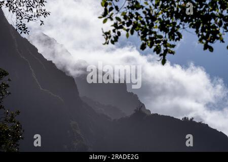 Montagnes au-dessus de Fox Glacier Valley Walk – te Moeka o Tuawe – Westland Tai Poutini National Park, Île du Sud, Nouvelle-Zélande. Photo : Rob Watkins Banque D'Images