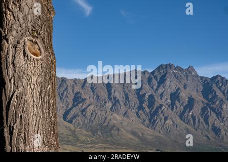 Les emblématiques montagnes Remarkables vues au-dessus de Frankton avec un anneau d'arbres près de Queenstown dans l'île du Sud de la Nouvelle-Zélande. Photo : Rob Watkins Banque D'Images