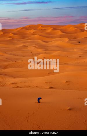 Afrique du Nord. Maroc. Merzouga. Un homme musulman prie dans les dunes de sable du désert du Sahara Banque D'Images