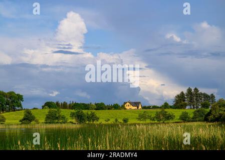 Vue sur Errit Lough, comté de Roscommon, Irlande en été Banque D'Images