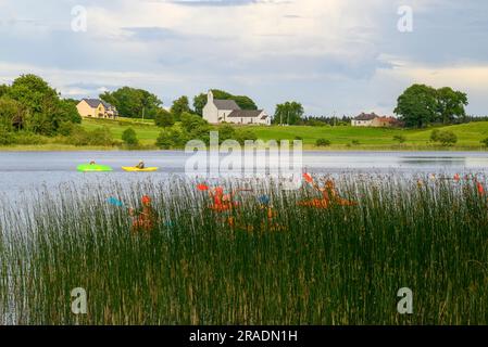 Vue sur Errit Lough, comté de Roscommon, Irlande avec roseaux et kayakistes Banque D'Images