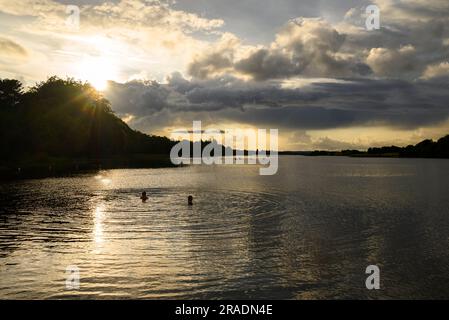 Nageurs d'eau froide à Errit Lough, comté de Roscommon, Irlande, lors d'une soirée d'été Banque D'Images