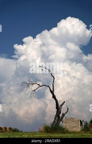 Un gros nuage Banque D'Images